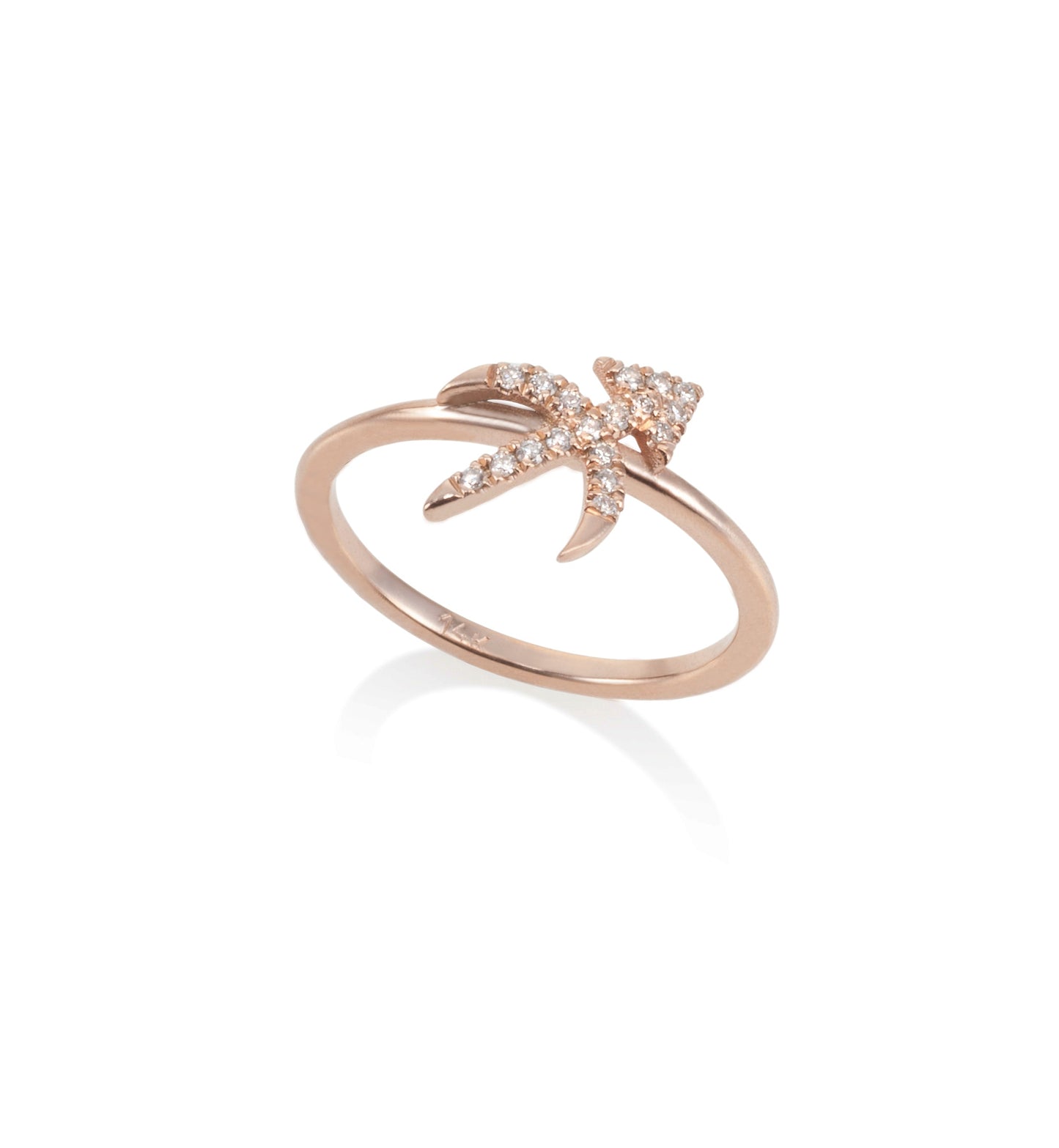 Sagittarius Zodiac Ring