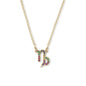Capricorn Zodiac Necklace