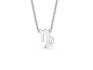 Capricorn Zodiac Necklace