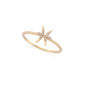 Pisces Zodiac Ring