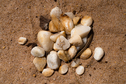 Capricorn Zodiac Bracelet