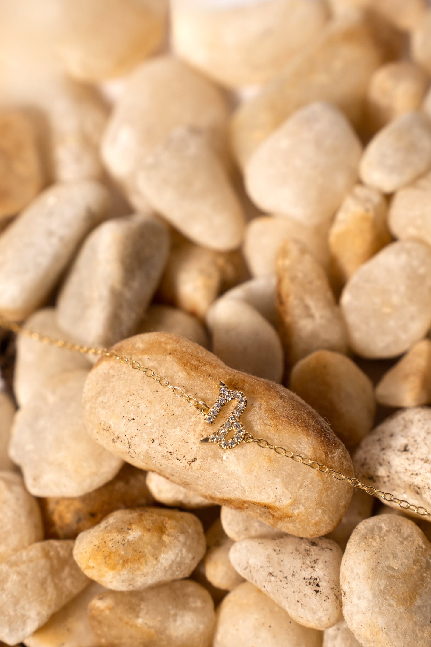 Capricorn Zodiac Necklace