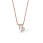Capricorn Zodiac Necklace