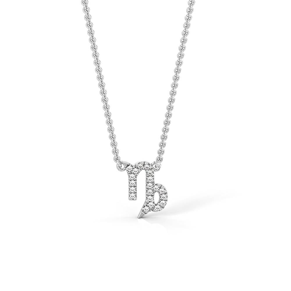 Capricorn Zodiac Necklace