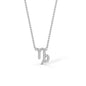 Capricorn Zodiac Necklace