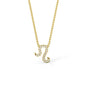 Leo Zodiac Necklace
