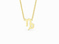 Capricorn Zodiac Necklace