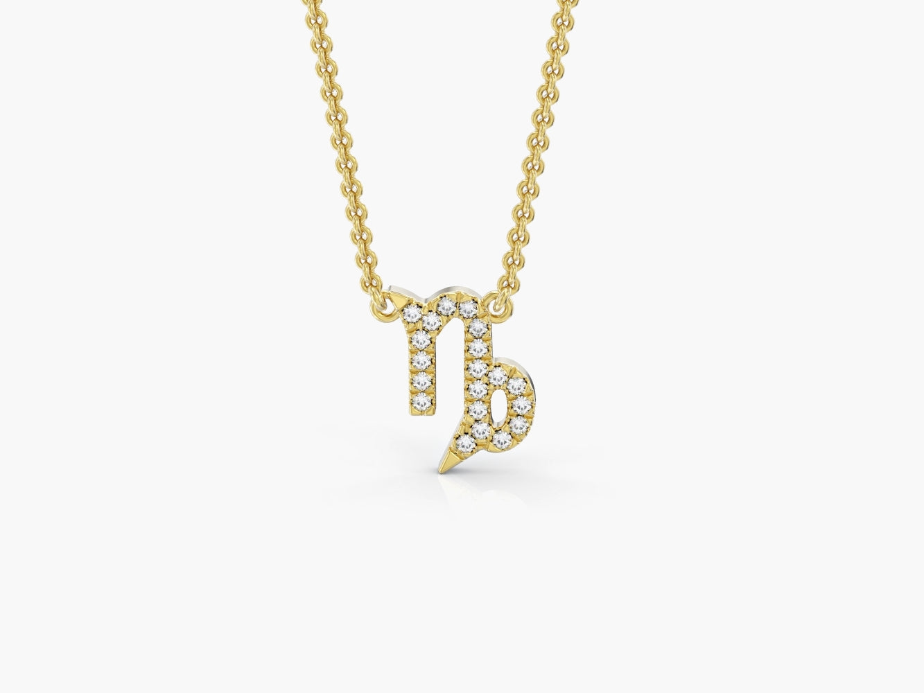 Capricorn Zodiac Necklace