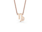 Capricorn Zodiac Necklace